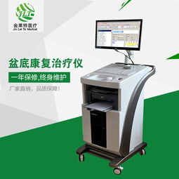 產后盆底康復治療儀市場解析 廠家批發價格與貴州地區發展現狀